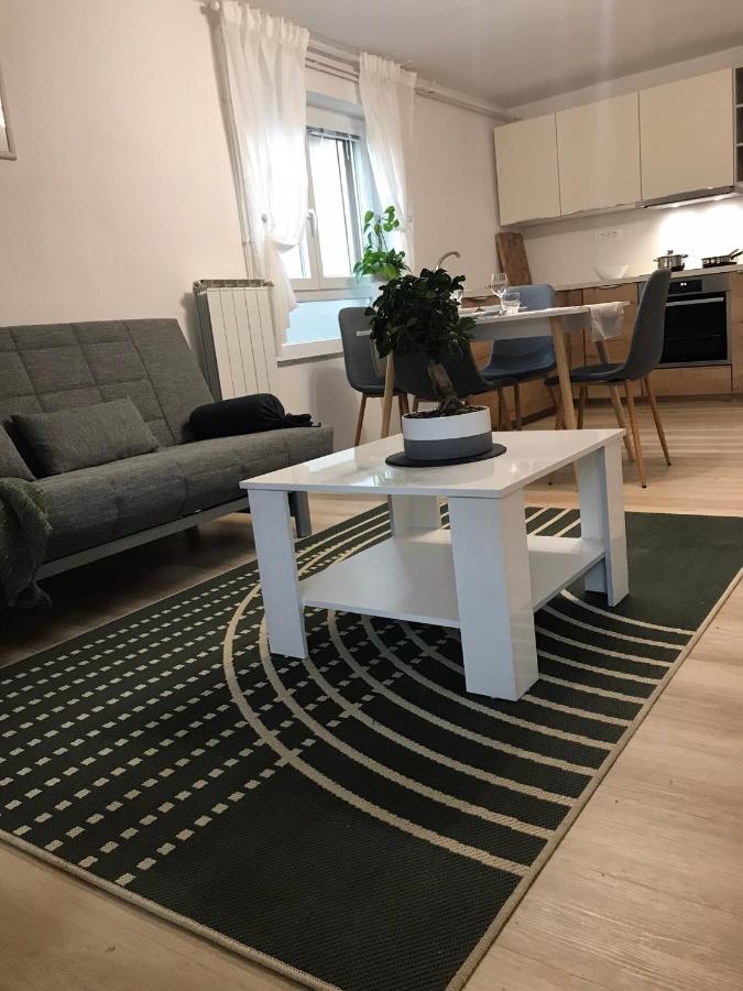 Appartement Koradinovi - Pod Vrtom à Vipava Extérieur photo