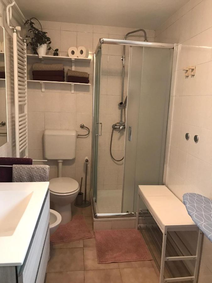 Appartement Koradinovi - Pod Vrtom à Vipava Extérieur photo
