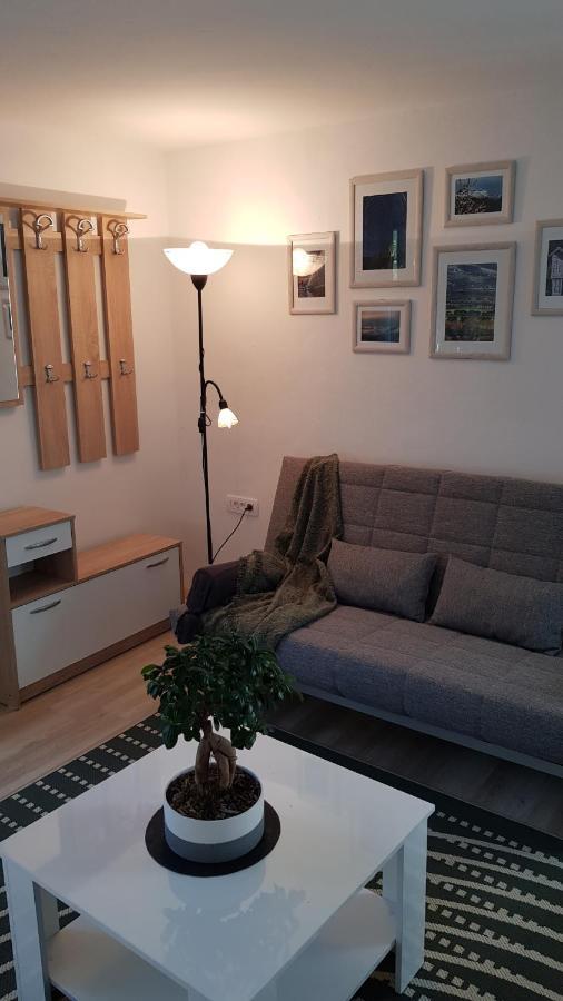 Appartement Koradinovi - Pod Vrtom à Vipava Extérieur photo